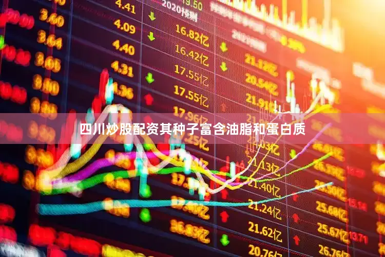 四川炒股配资其种子富含油脂和蛋白质