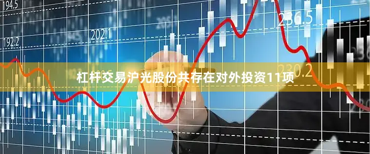 杠杆交易沪光股份共存在对外投资11项