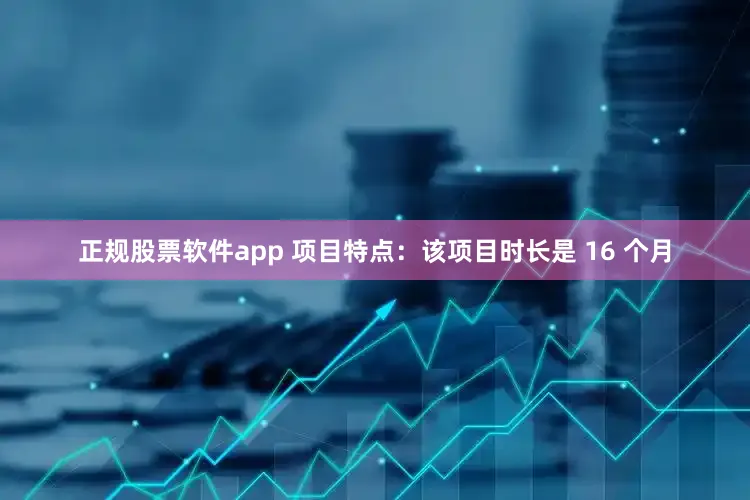 正规股票软件app 项目特点：该项目时长是 16 个月