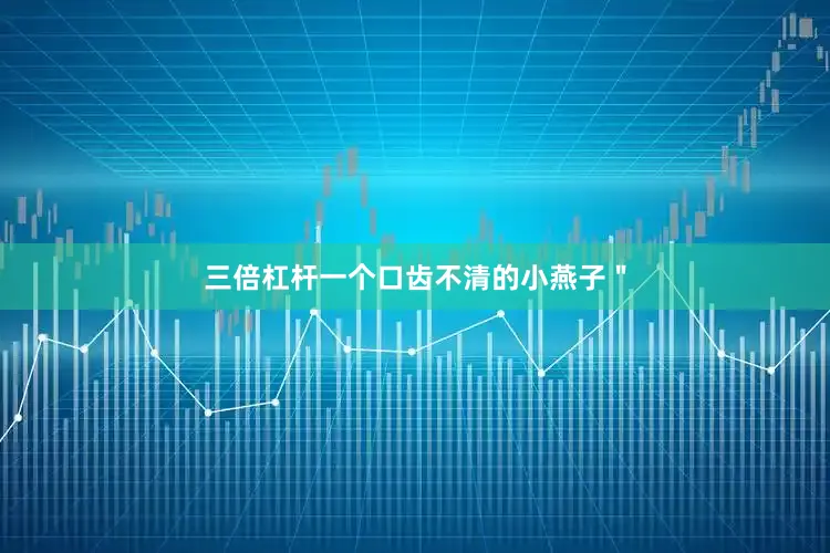 三倍杠杆一个口齿不清的小燕子＂